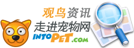 IntoPet������Ѷ����