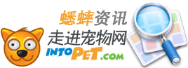 IntoPet����Ѷ����