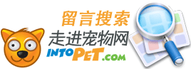 IntoPet����������ҳ