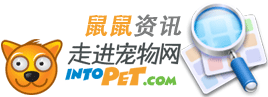 IntoPet������Ѷ����