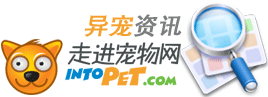 IntoPet�����Ѷ����