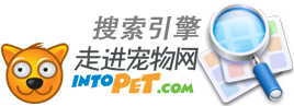 IntoPet��������