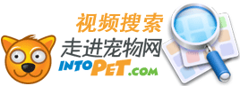 IntoPet��Ƶ����